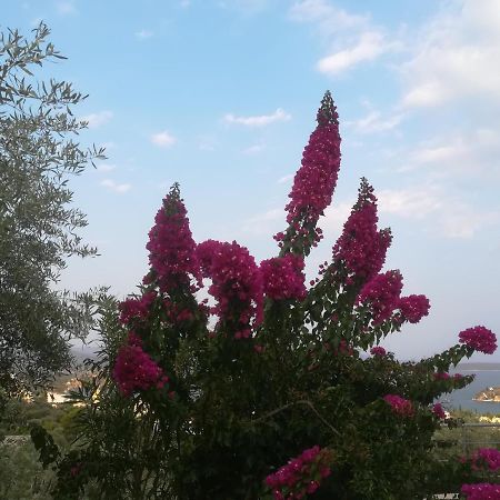 Villa Πέτρα, Ελιά Και Λεβάντα à Tolón Extérieur photo