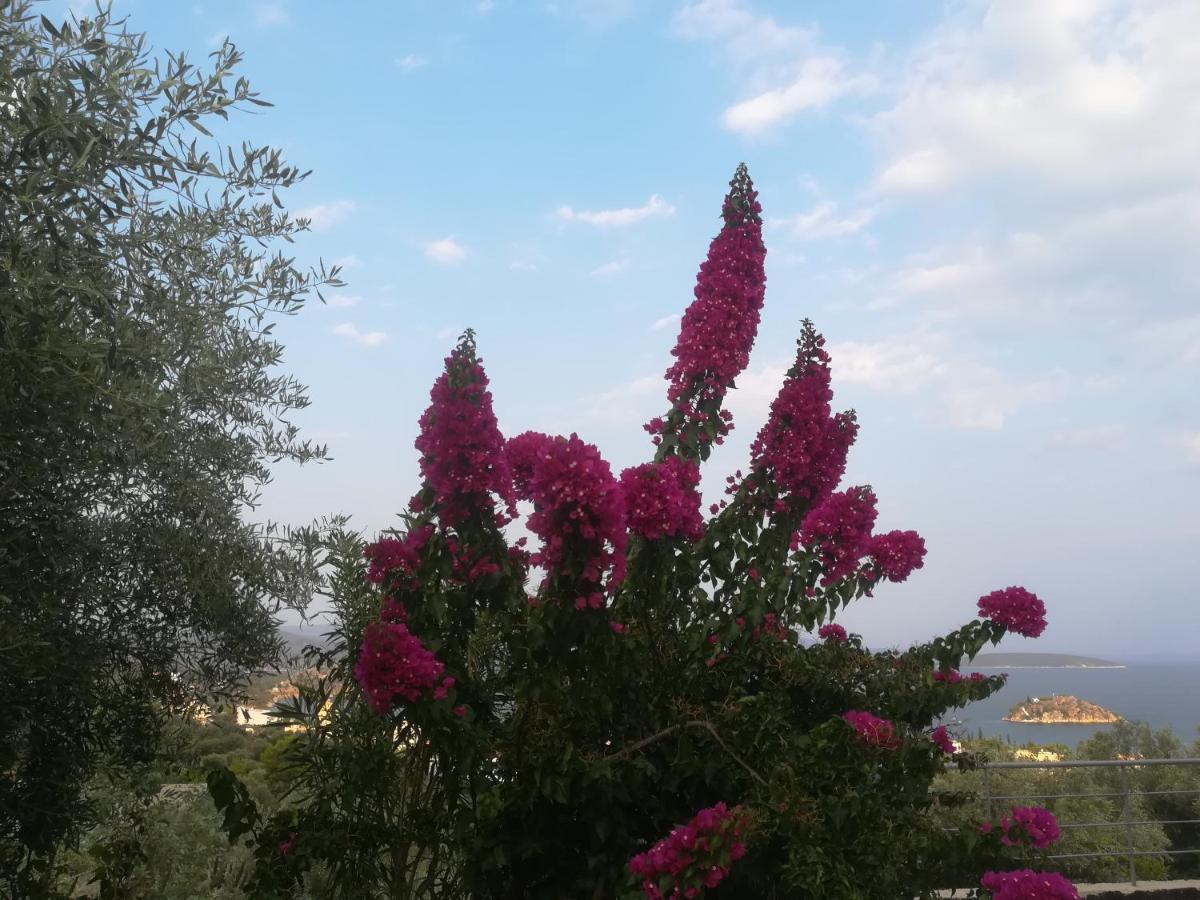 Villa Πέτρα, Ελιά Και Λεβάντα à Tolón Extérieur photo