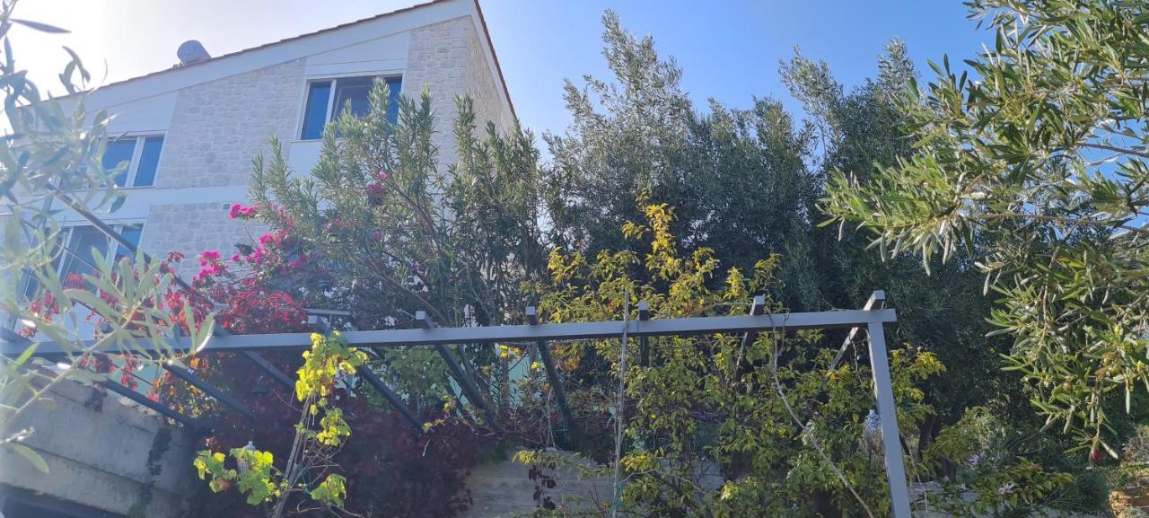 Villa Πέτρα, Ελιά Και Λεβάντα à Tolón Extérieur photo