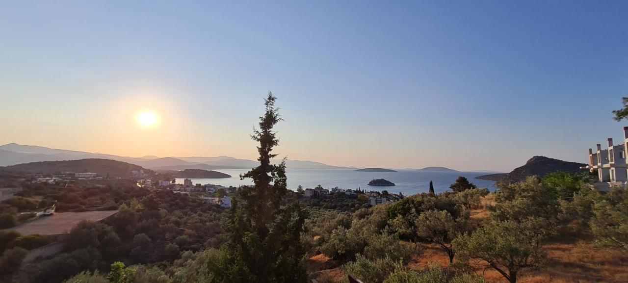 Villa Πέτρα, Ελιά Και Λεβάντα à Tolón Extérieur photo