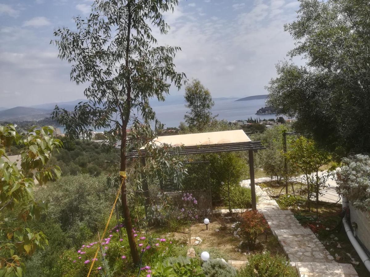 Villa Πέτρα, Ελιά Και Λεβάντα à Tolón Extérieur photo
