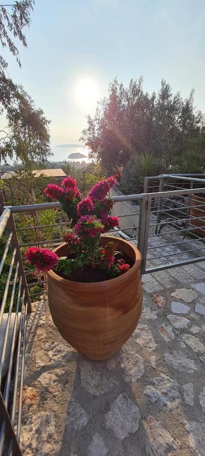Villa Πέτρα, Ελιά Και Λεβάντα à Tolón Extérieur photo