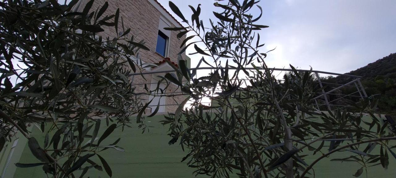 Villa Πέτρα, Ελιά Και Λεβάντα à Tolón Extérieur photo