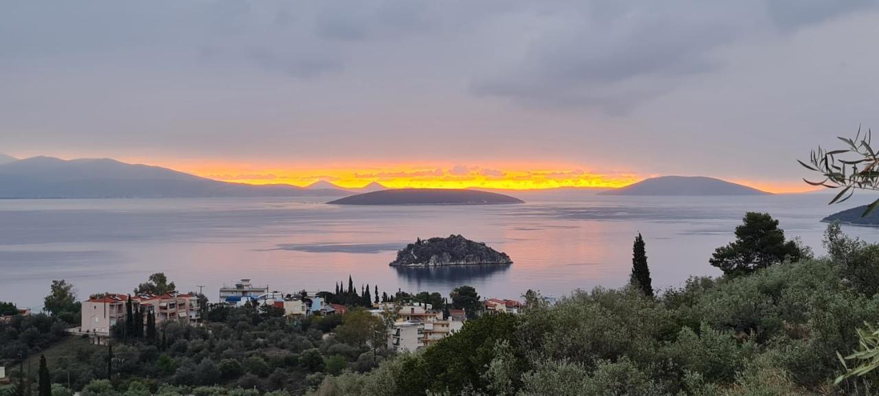 Villa Πέτρα, Ελιά Και Λεβάντα à Tolón Extérieur photo