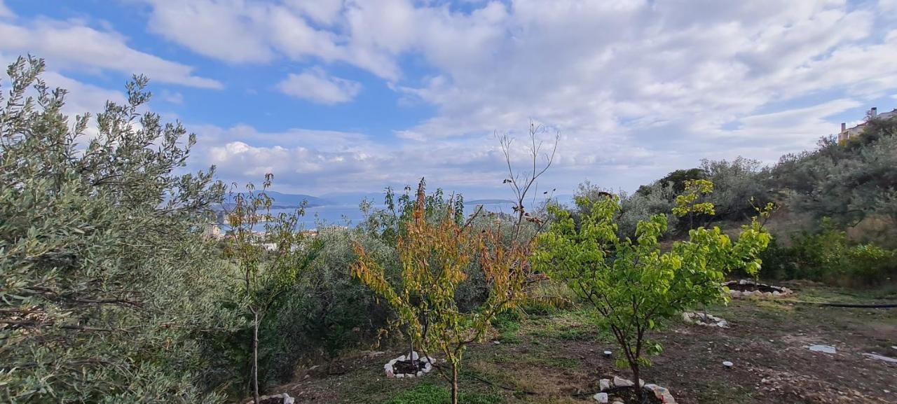 Villa Πέτρα, Ελιά Και Λεβάντα à Tolón Extérieur photo